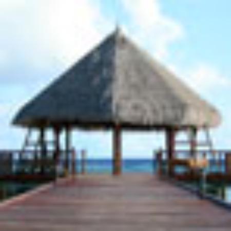 Il Pescatore Fischspezialitäten